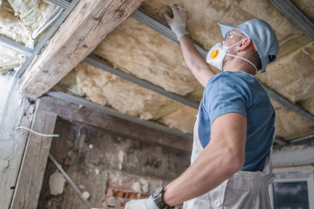 Best Home Insulation Services  in Cortland West, NY