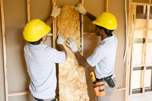 Best Wall Insulation Contractor  in Cortland West, NY