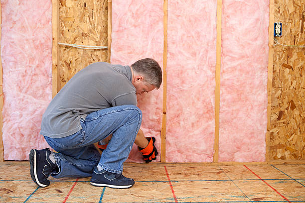 Best Insulation for New Construction  in Cortland West, NY