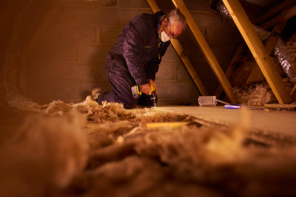Insulation Repair Services in Cortland West, NY
